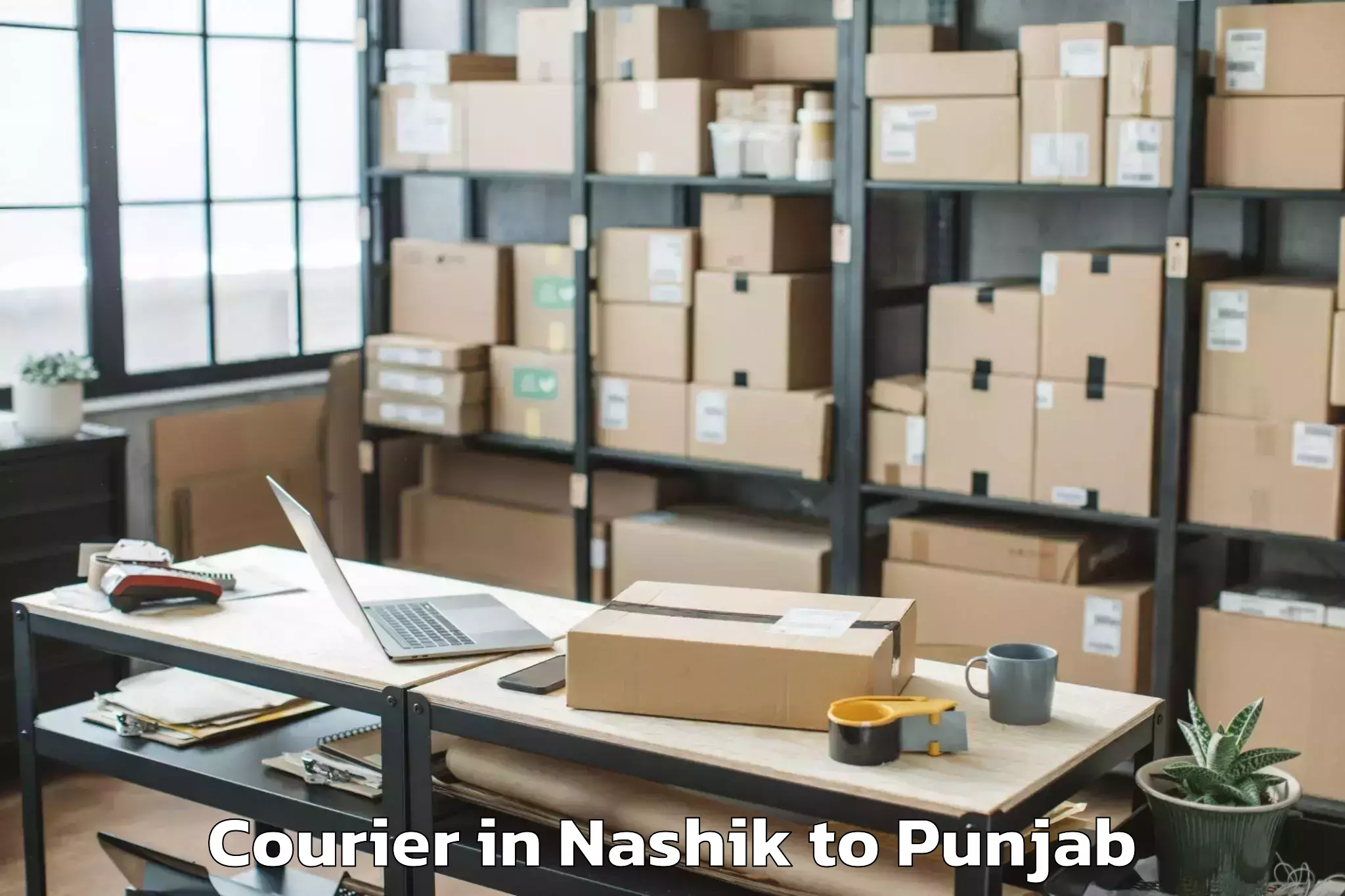 Reliable Nashik to Sanaur Courier